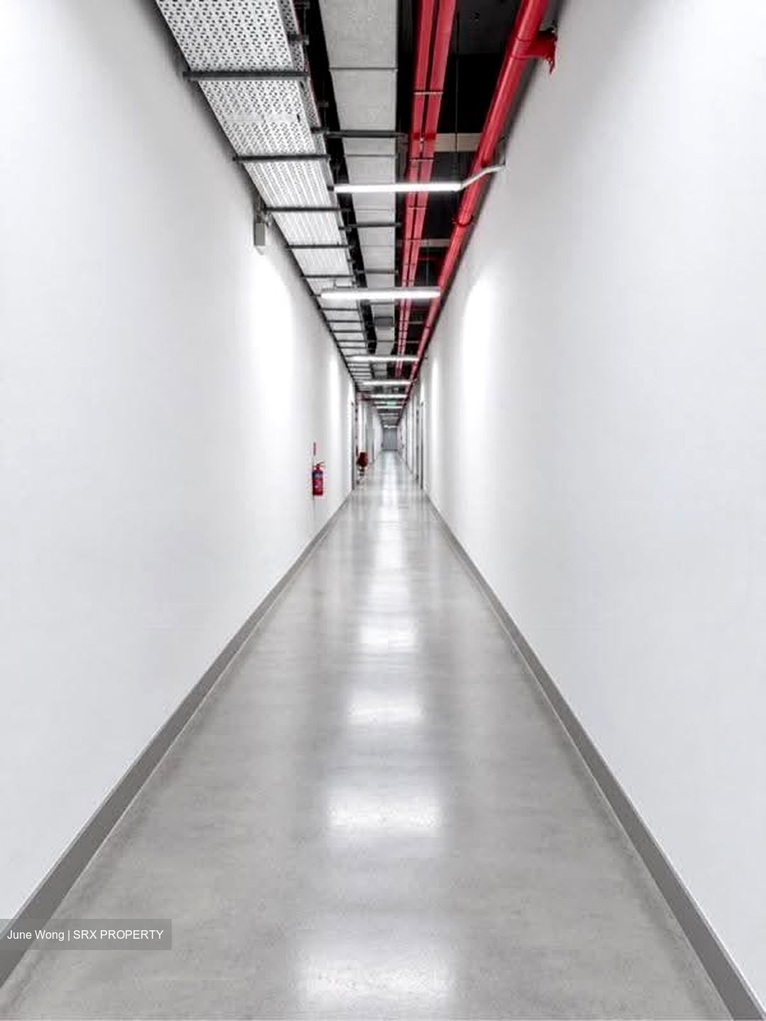 Ang Mo Kio Industrial Park 2 (D20), Factory #631916271